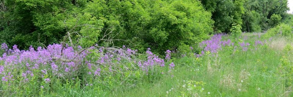 Mary Jo Wegner Arboretum & East Sioux Falls Historic Site